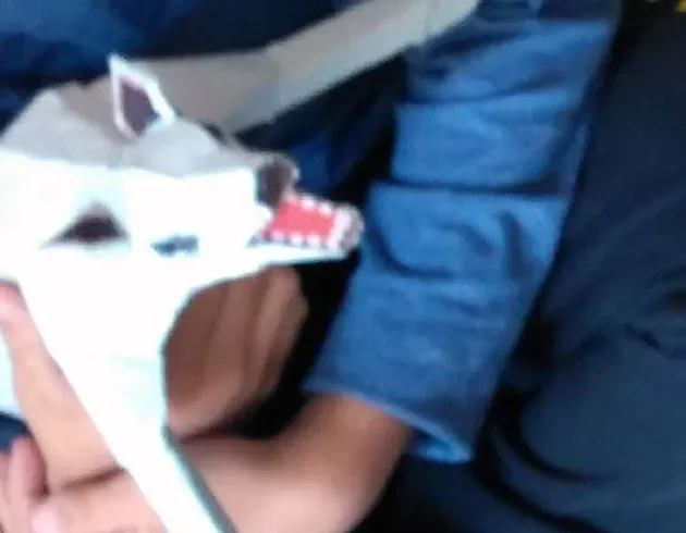 atividade-artistica-construindo-com-papercraft-e-massa